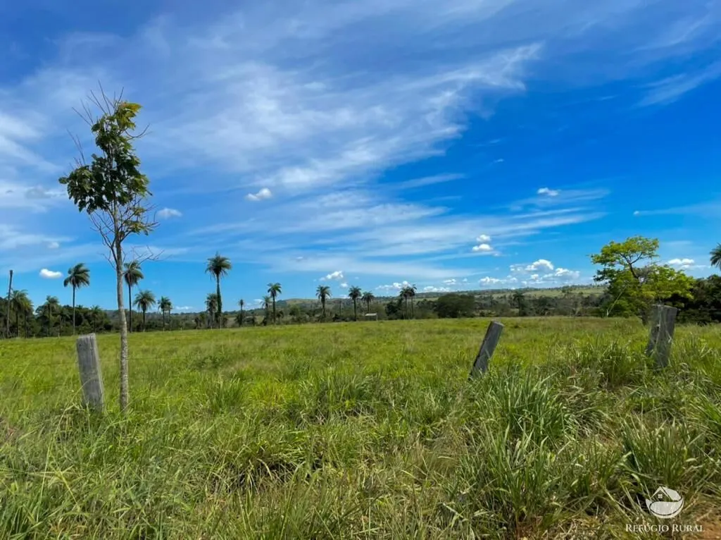Fazenda à venda de 8.566 ha em Bandeirantes do Tocantins, TO, Brasil