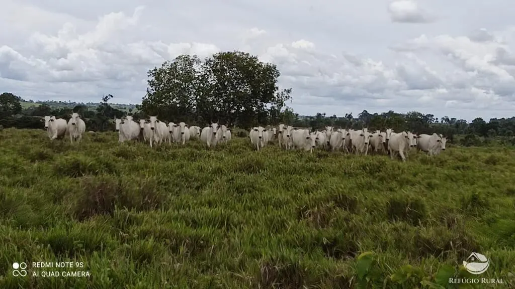 Fazenda à venda de 8.566 ha em Bandeirantes do Tocantins, TO, Brasil