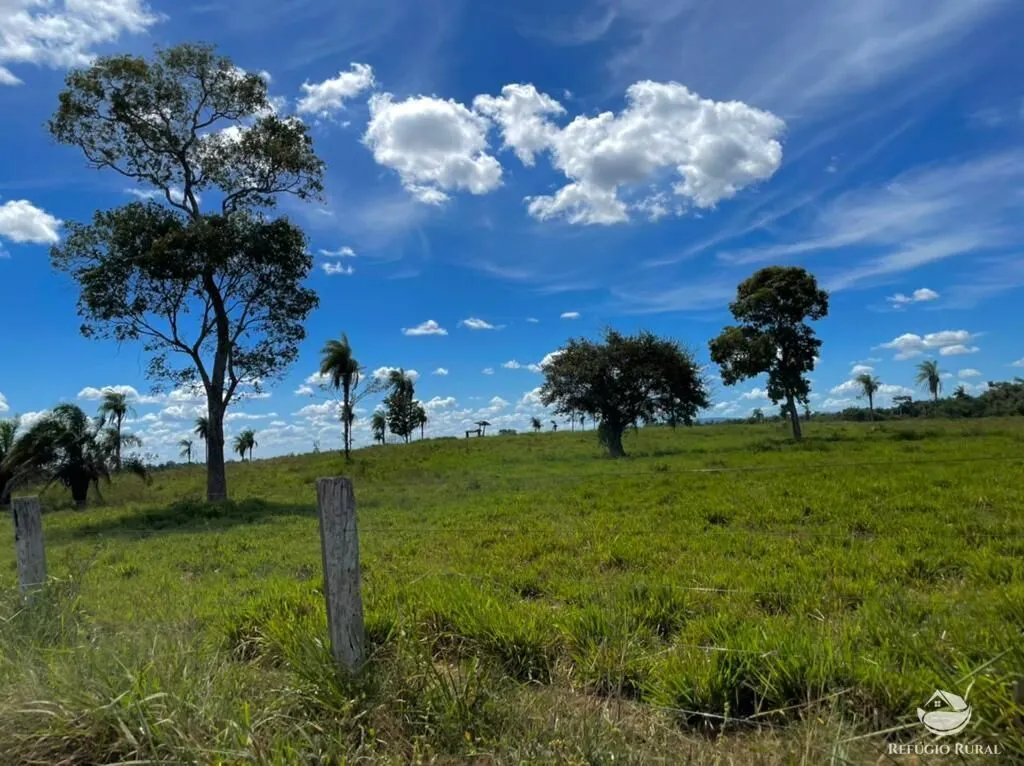 Fazenda à venda de 8.566 ha em Bandeirantes do Tocantins, TO, Brasil