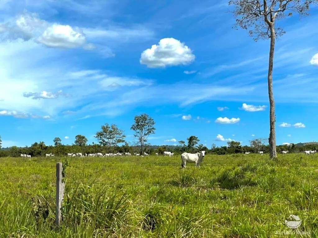 Fazenda à venda de 8.566 ha em Bandeirantes do Tocantins, TO, Brasil