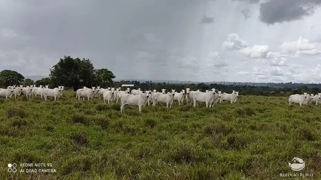 Fazenda à venda de 8.566 ha em Bandeirantes do Tocantins, TO, Brasil