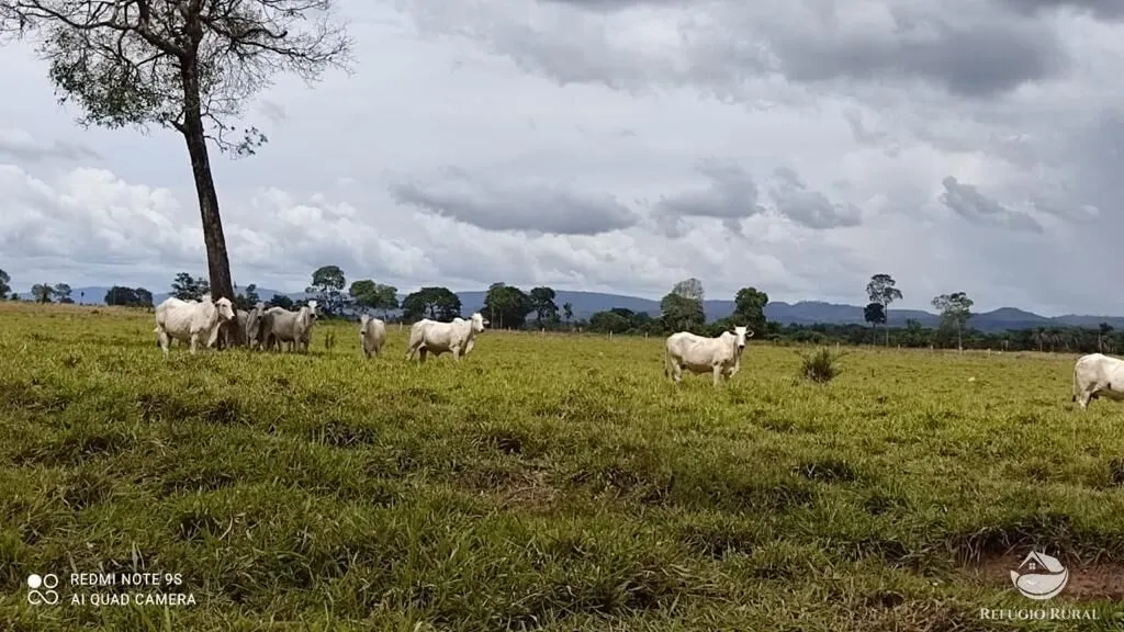 Fazenda à venda de 8.566 ha em Bandeirantes do Tocantins, TO, Brasil