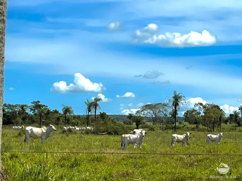 Fazenda à venda de 8.566 ha em Bandeirantes do Tocantins, TO, Brasil