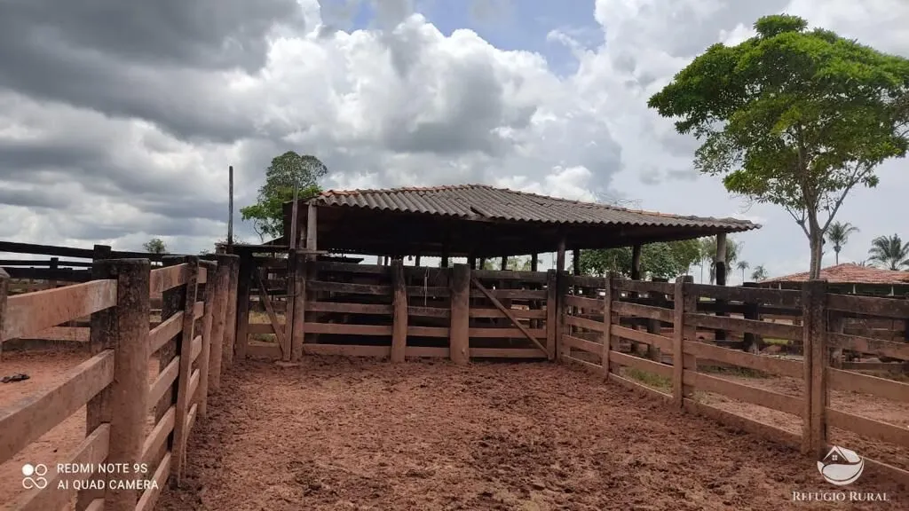 Fazenda à venda de 8.566 ha em Bandeirantes do Tocantins, TO, Brasil
