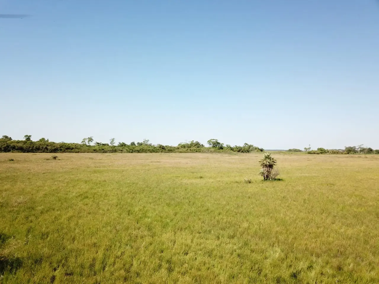 Comercial à venda de 12.600 ha em San Pedro de Ycuamandiyú, Paraguai