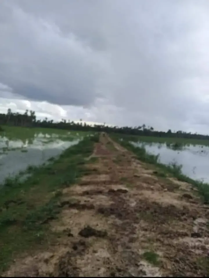 Comercial à venda de 12.600 ha em San Pedro de Ycuamandiyú, Paraguai