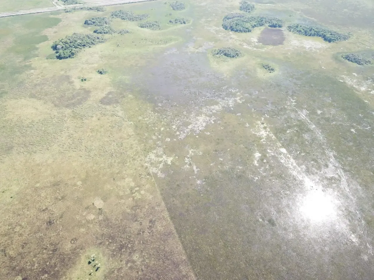 Comercial à venda de 12.600 ha em San Pedro de Ycuamandiyú, Paraguai