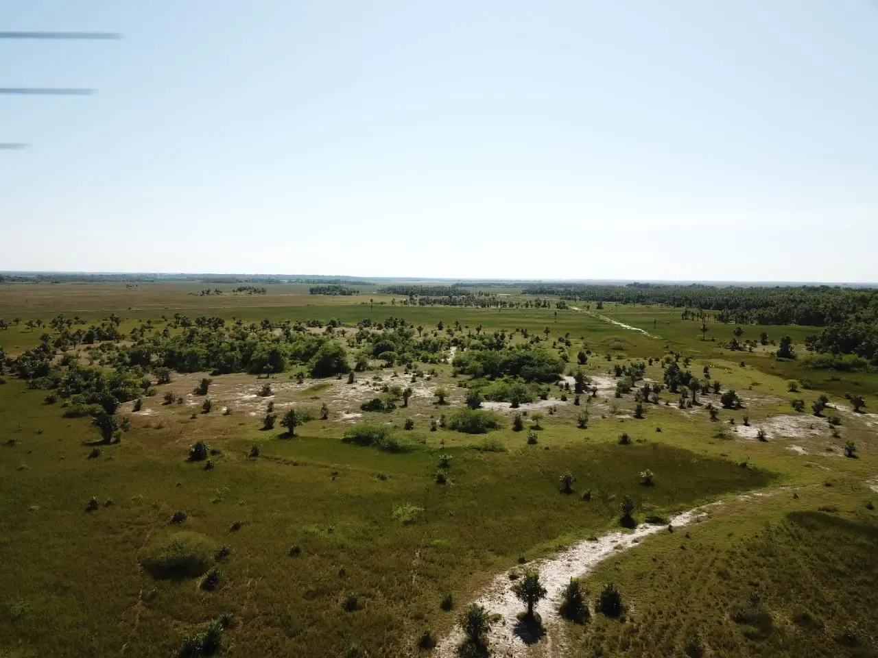 Comercial à venda de 12.600 ha em San Pedro de Ycuamandiyú, Paraguai