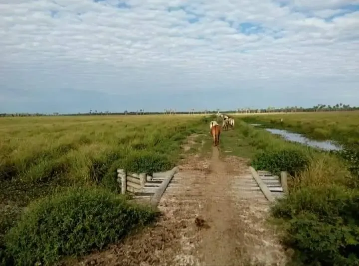 Comercial à venda de 12.600 ha em San Pedro de Ycuamandiyú, Paraguai