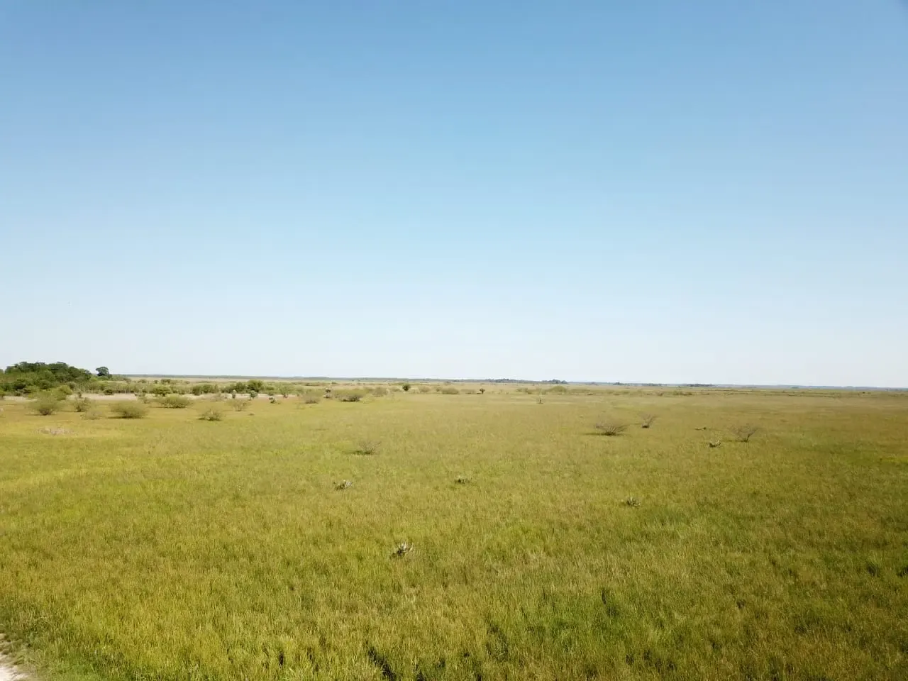 Comercial à venda de 12.600 ha em San Pedro de Ycuamandiyú, Paraguai