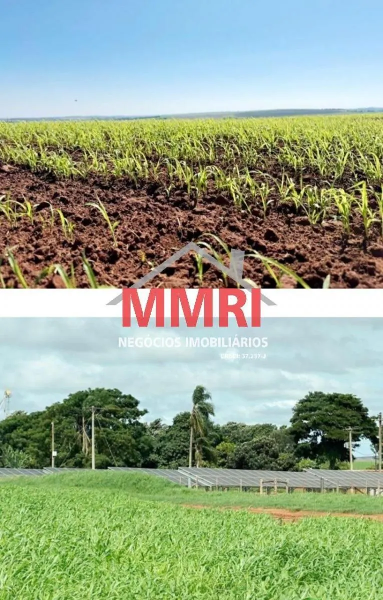 Farm for sale of 1,705 acres in Taquarituba, SP, Brazil