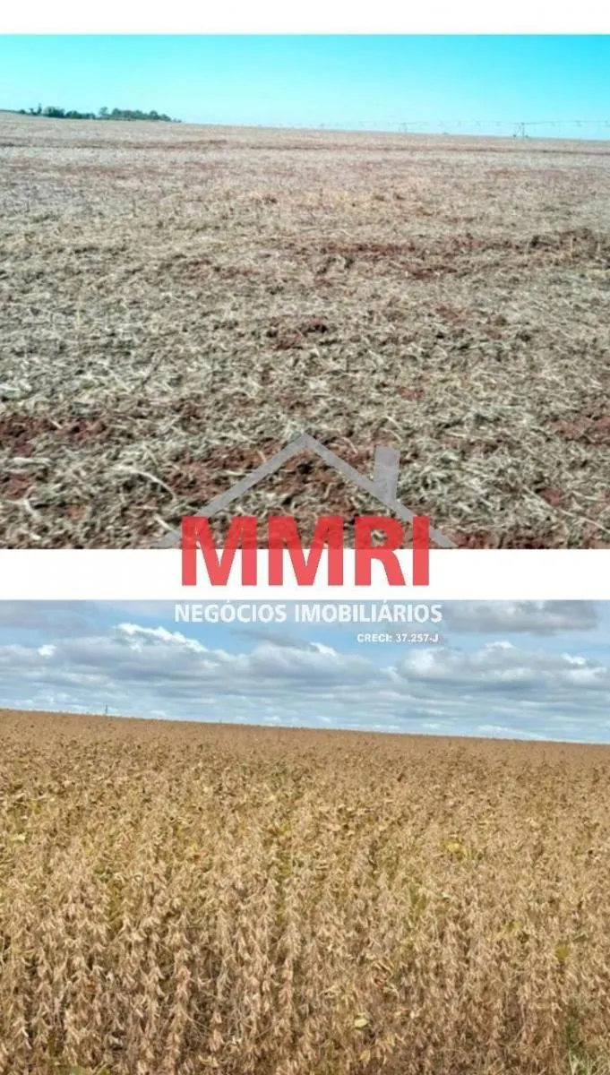 Farm for sale of 1,705 acres in Taquarituba, SP, Brazil