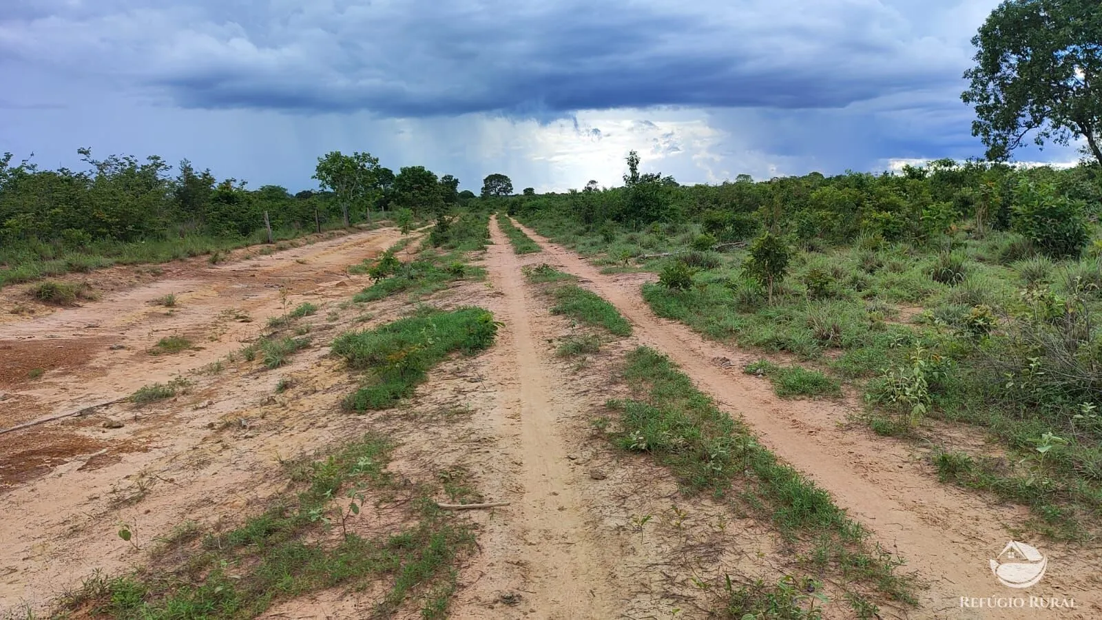 Farm for sale of 1,972 acres in Alvorada, TO, Brazil