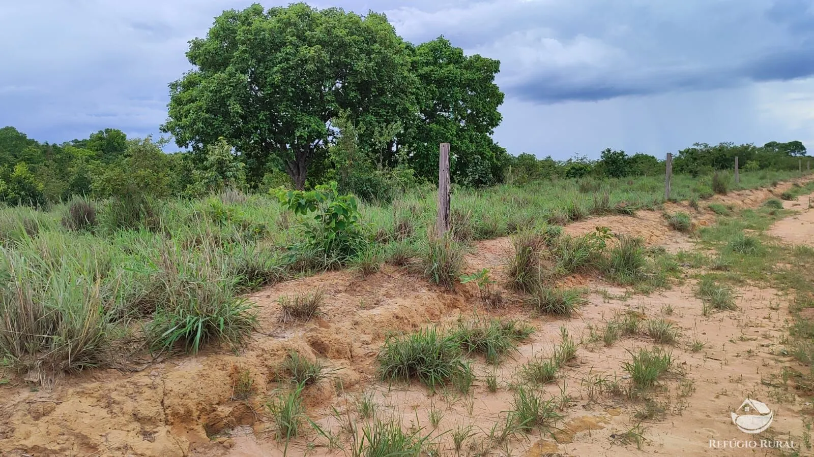 Farm for sale of 1,972 acres in Alvorada, TO, Brazil