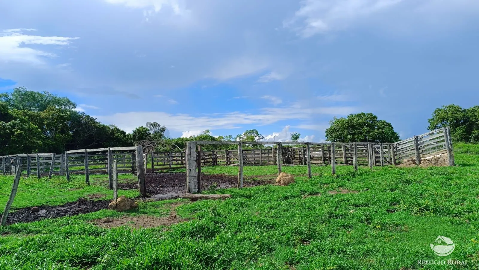 Farm for sale of 1,972 acres in Alvorada, TO, Brazil