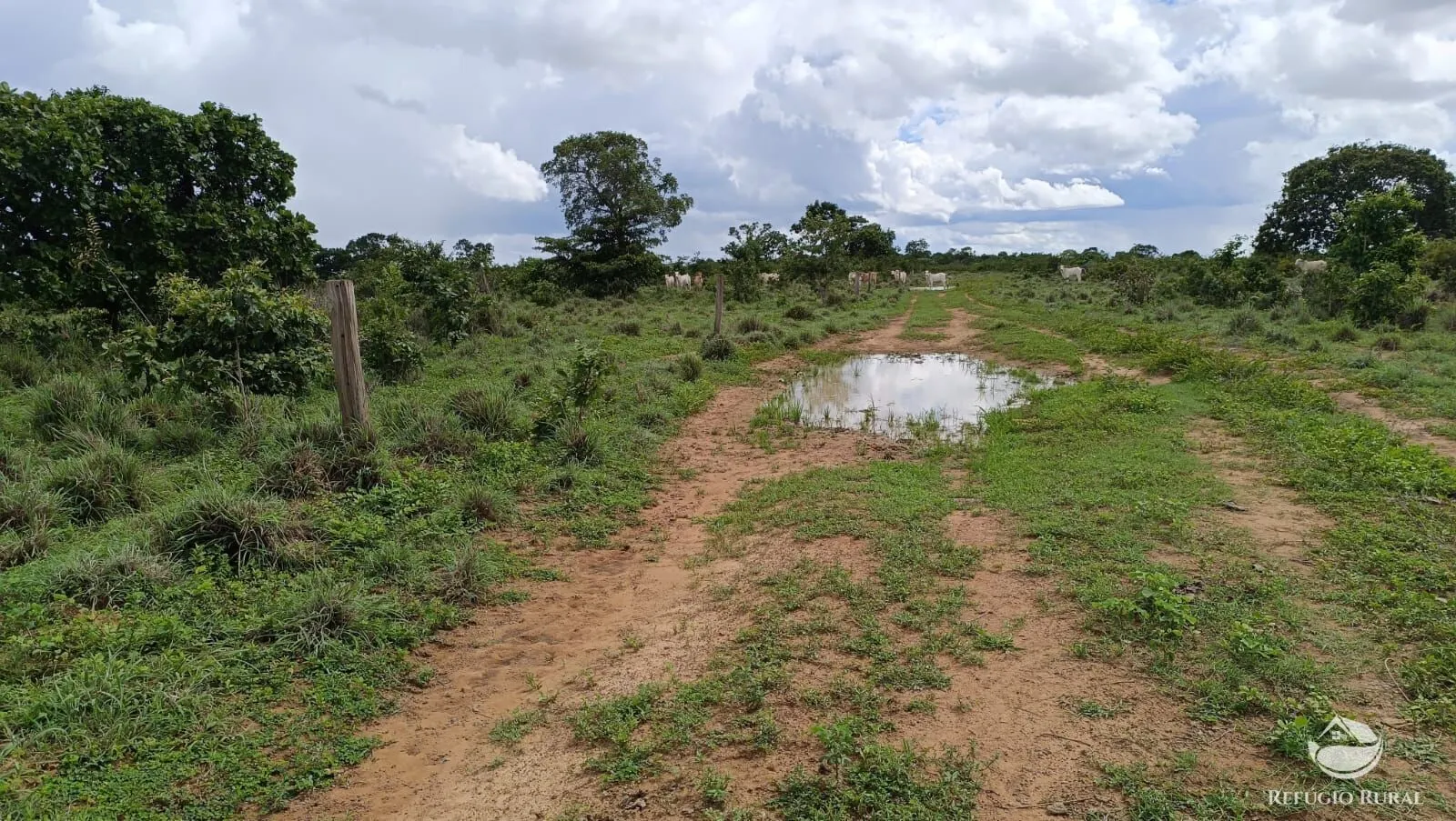 Farm for sale of 1,972 acres in Alvorada, TO, Brazil
