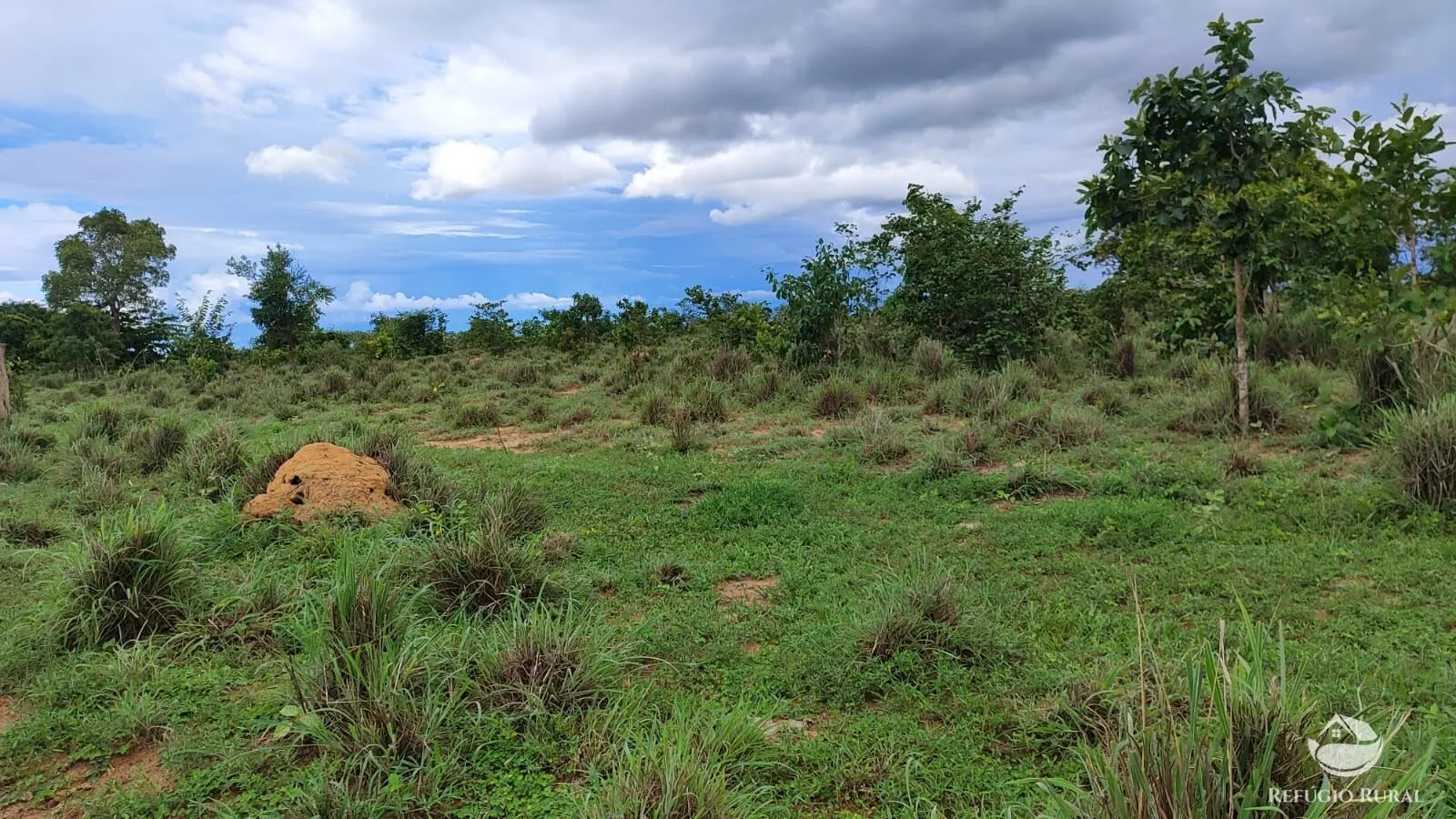 Farm for sale of 1,972 acres in Alvorada, TO, Brazil
