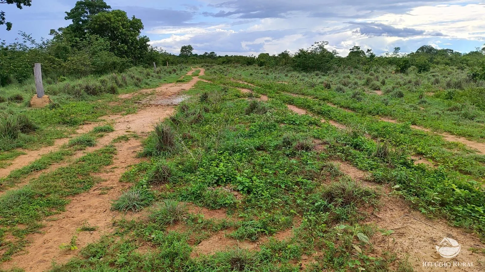 Farm for sale of 1,972 acres in Alvorada, TO, Brazil