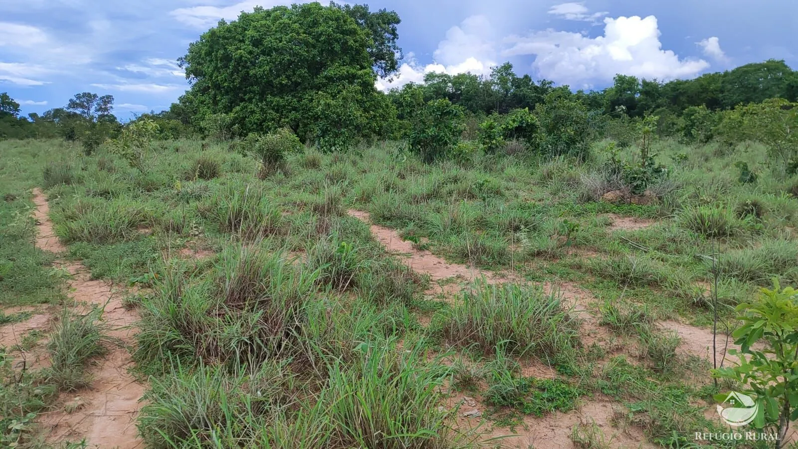 Farm for sale of 1,972 acres in Alvorada, TO, Brazil