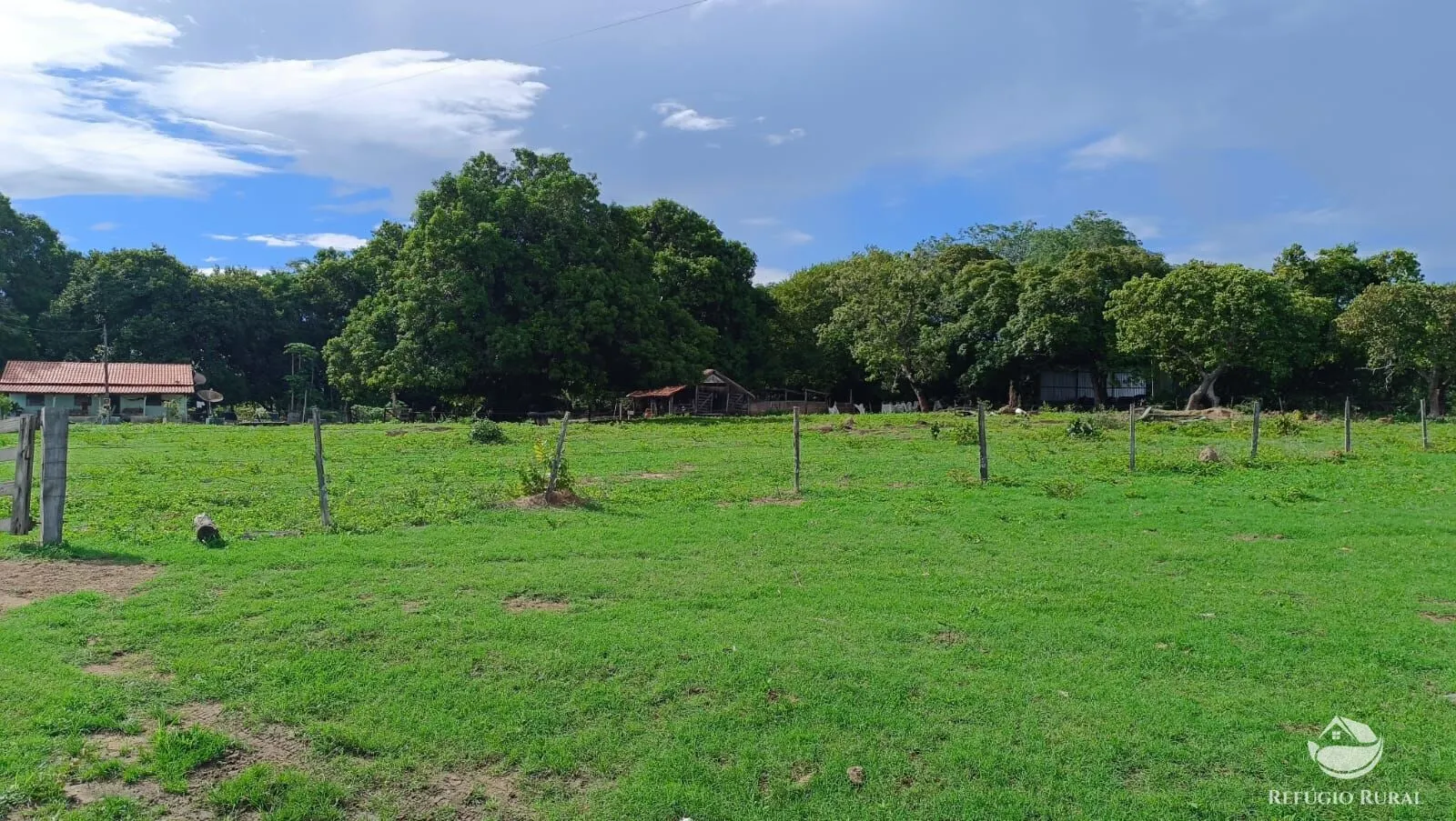 Farm for sale of 1,972 acres in Alvorada, TO, Brazil