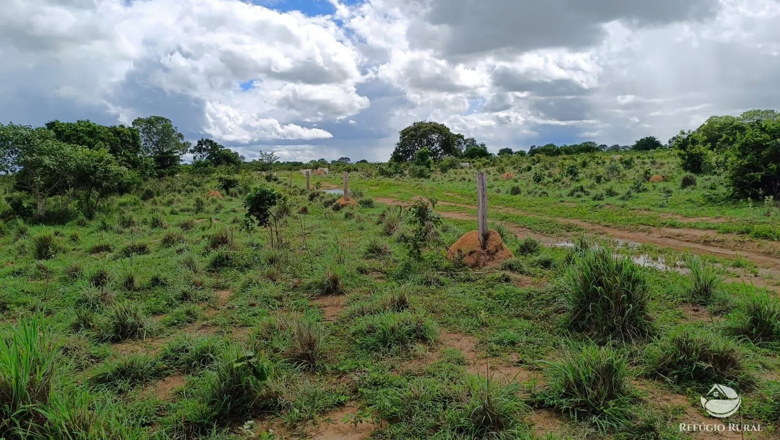 Farm for sale of 1,972 acres in Alvorada, TO, Brazil
