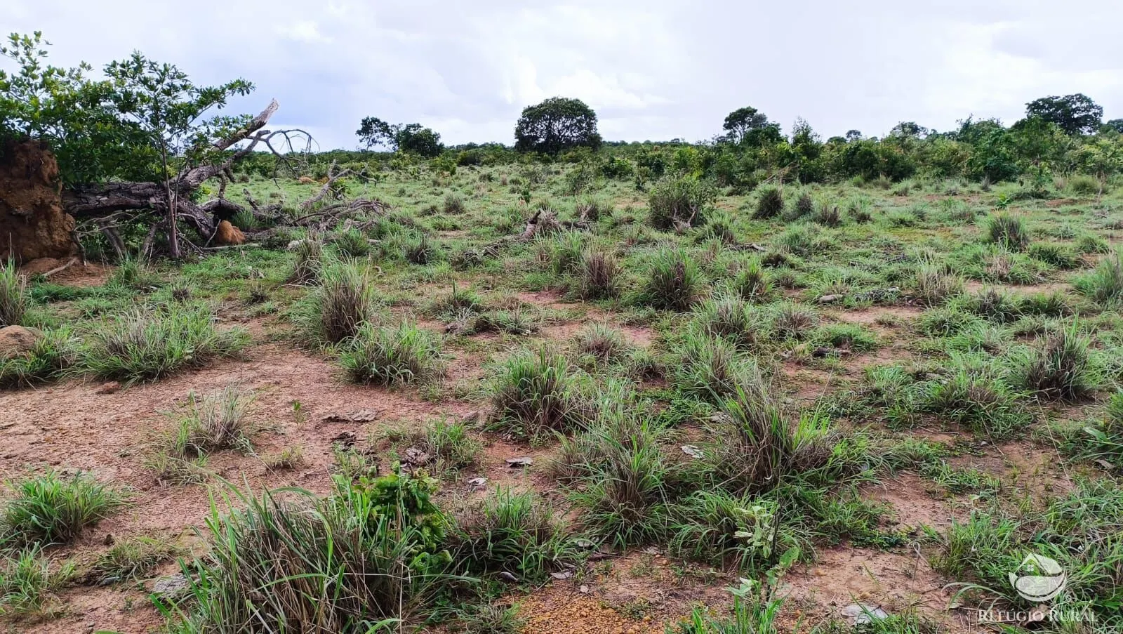 Farm for sale of 1,972 acres in Alvorada, TO, Brazil