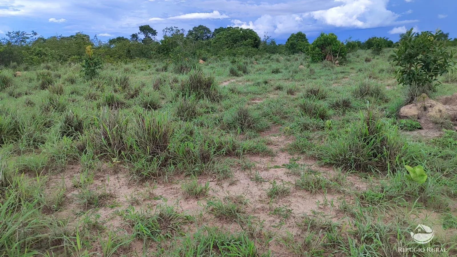 Farm for sale of 1,972 acres in Alvorada, TO, Brazil