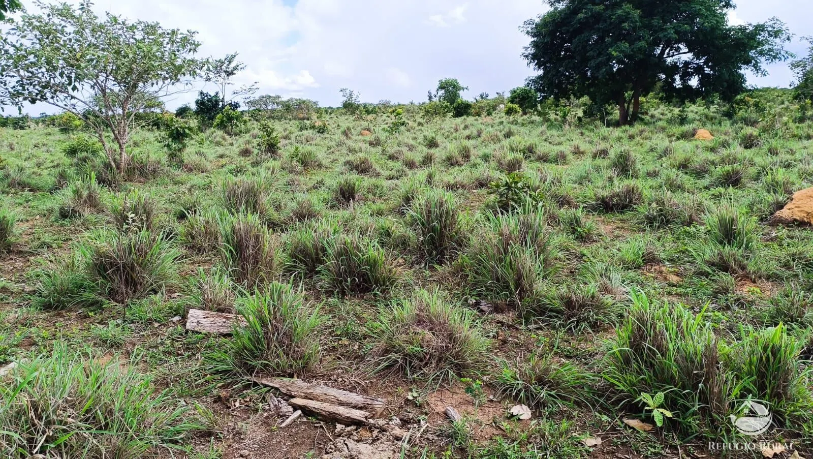 Farm for sale of 1,972 acres in Alvorada, TO, Brazil