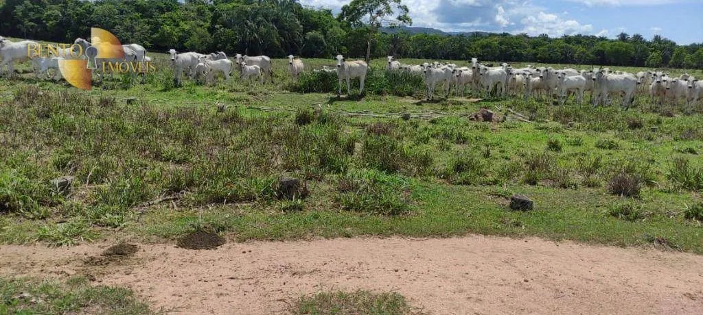 Farm for sale of 430 acres in Cuiabá, MT, Brazil