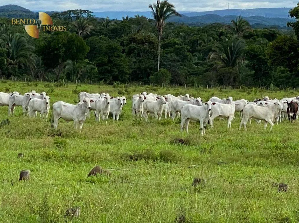 Farm for sale of 430 acres in Cuiabá, MT, Brazil