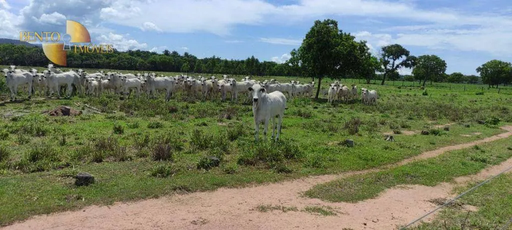 Farm for sale of 430 acres in Cuiabá, MT, Brazil