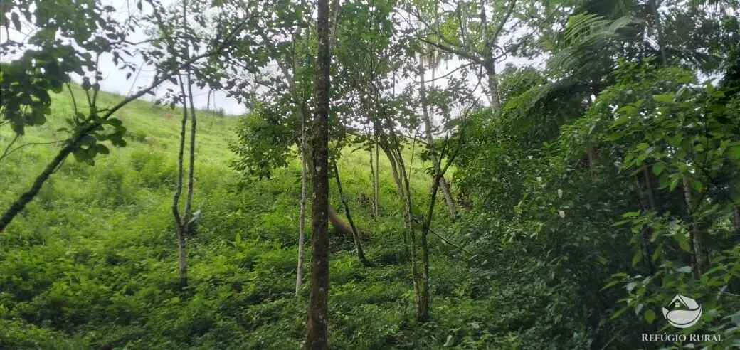 Chácara à venda de 1 ha em São José dos Campos, SP, Brasil