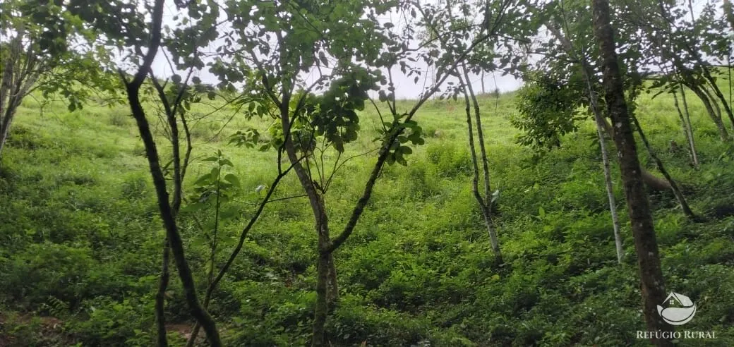 Chácara à venda de 1 ha em São José dos Campos, SP, Brasil