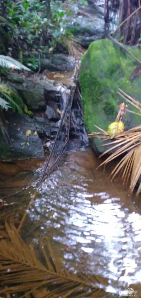 Chácara à venda de 1 ha em São José dos Campos, SP, Brasil