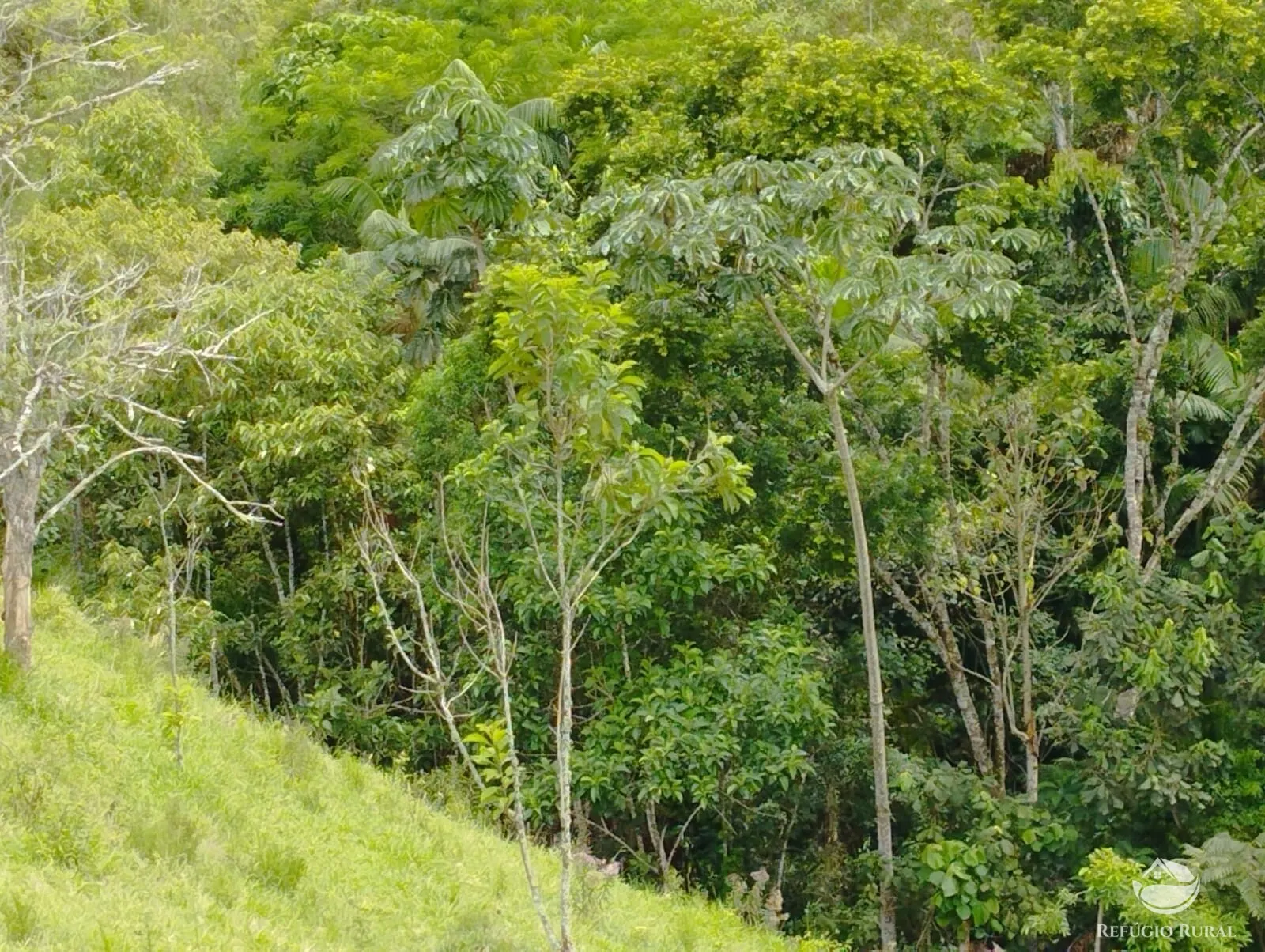 Chácara à venda de 1 ha em São José dos Campos, SP, Brasil