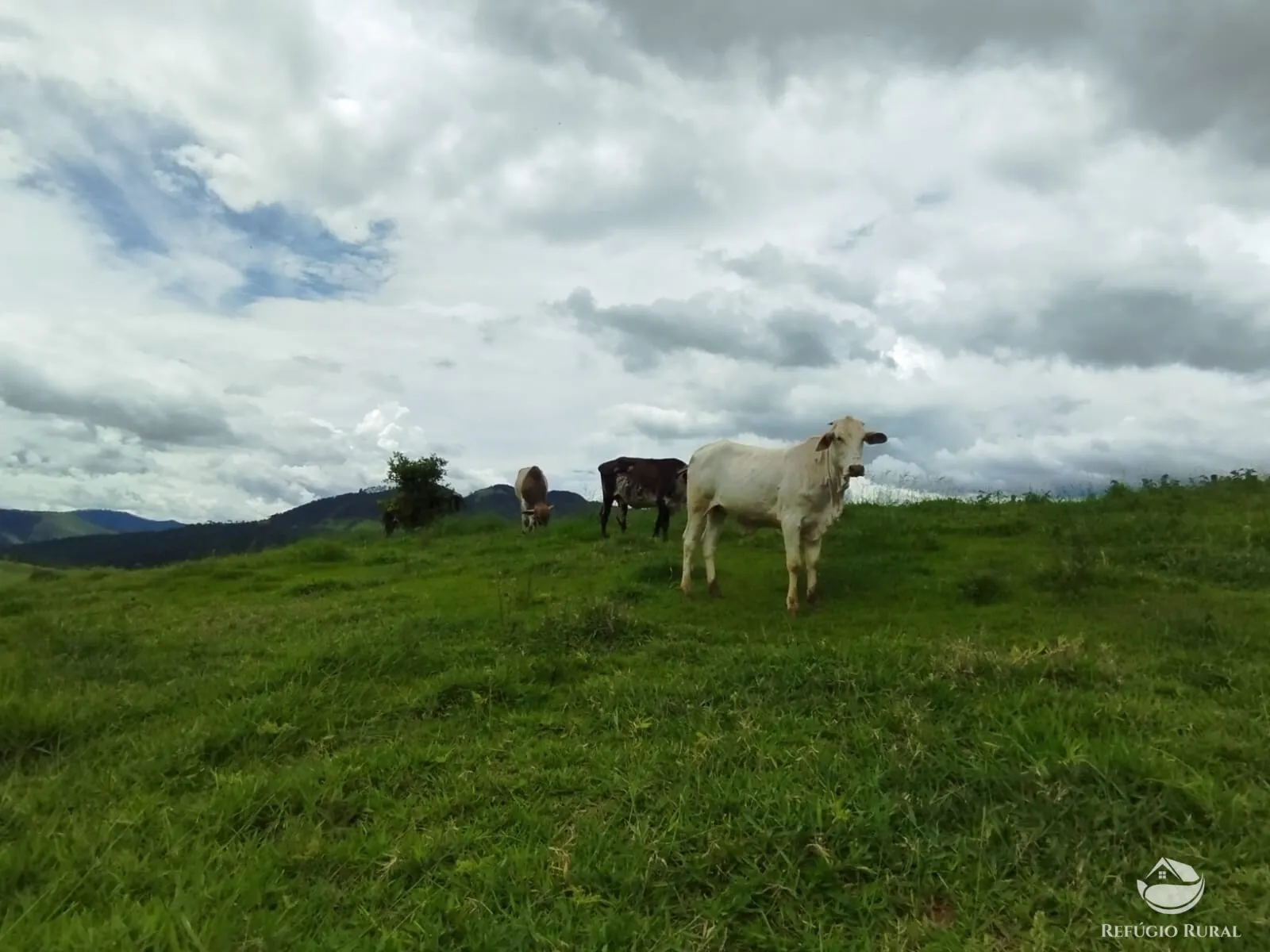Chácara à venda de 1 ha em São José dos Campos, SP, Brasil
