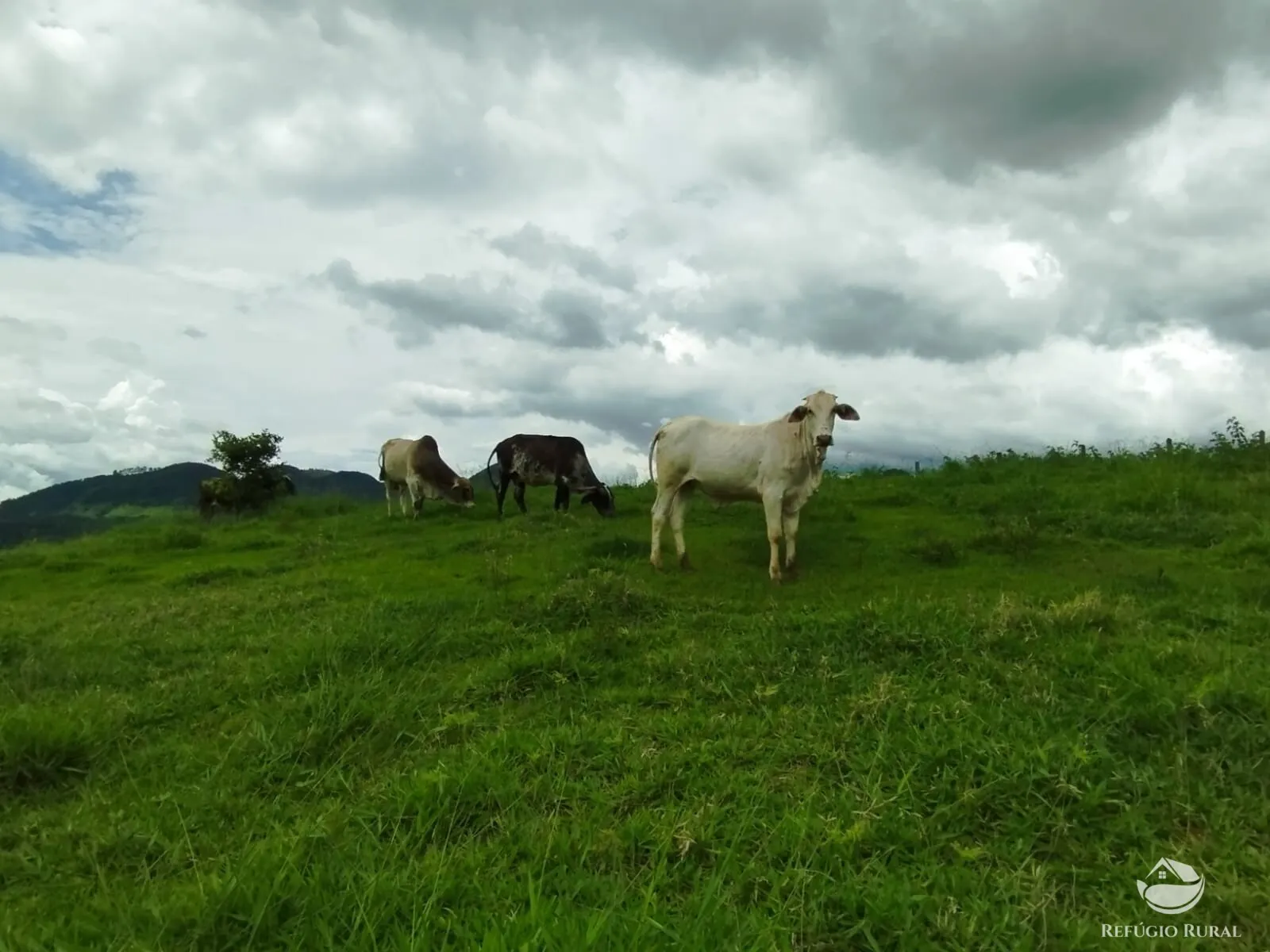 Chácara à venda de 1 ha em São José dos Campos, SP, Brasil