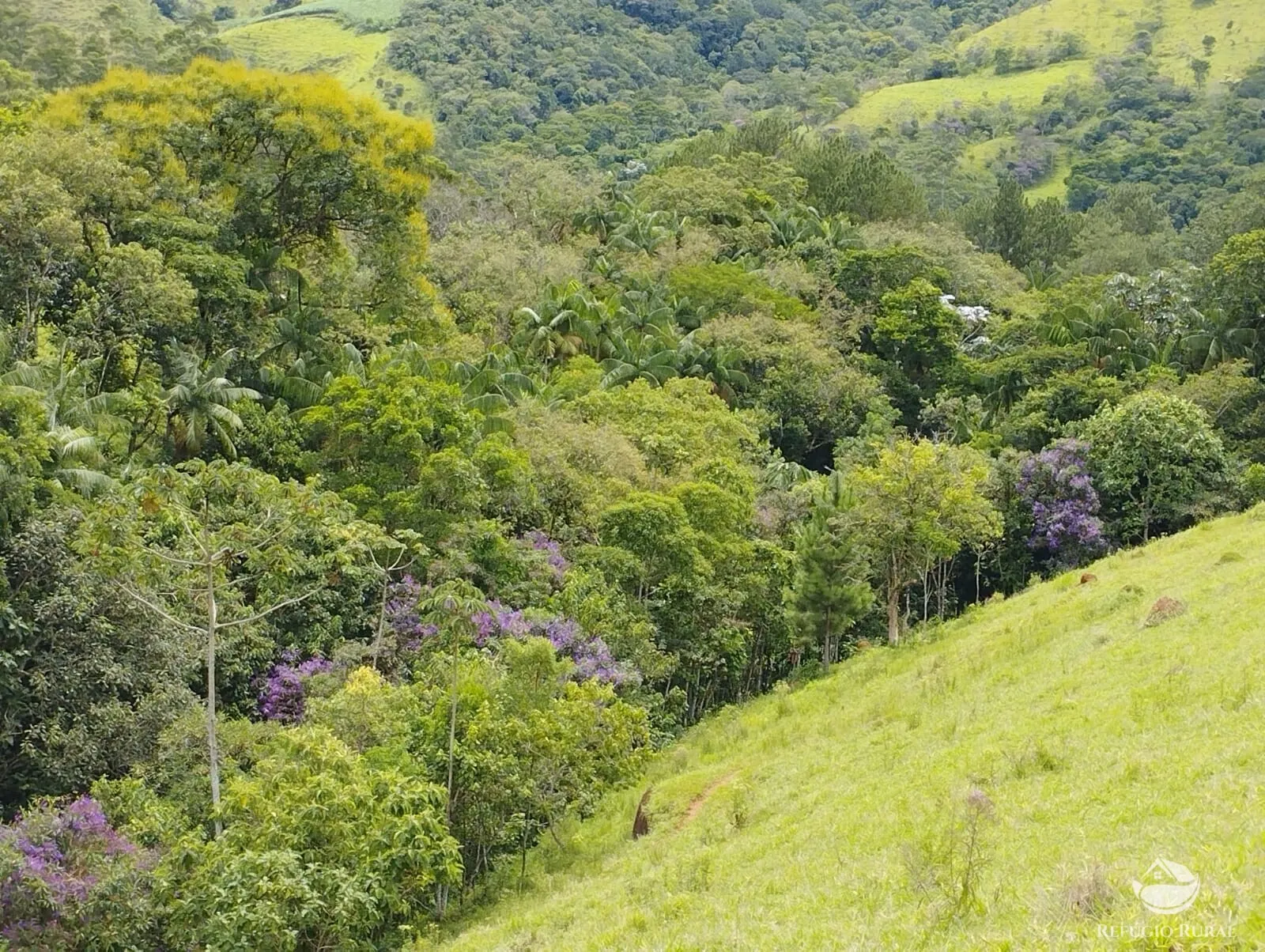 Chácara à venda de 1 ha em São José dos Campos, SP, Brasil
