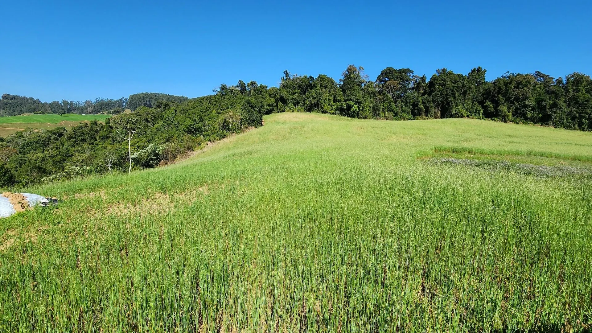 Sítio à venda de 9 ha em Rio do Sul, SC, Brasil
