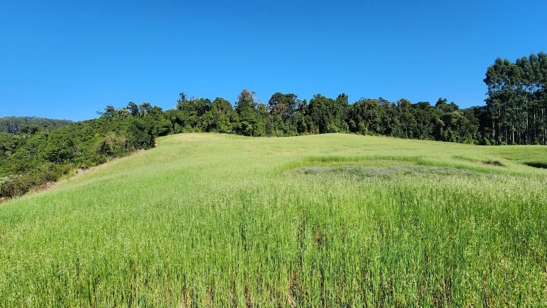 Sítio à venda de 9 ha em Rio do Sul, SC, Brasil