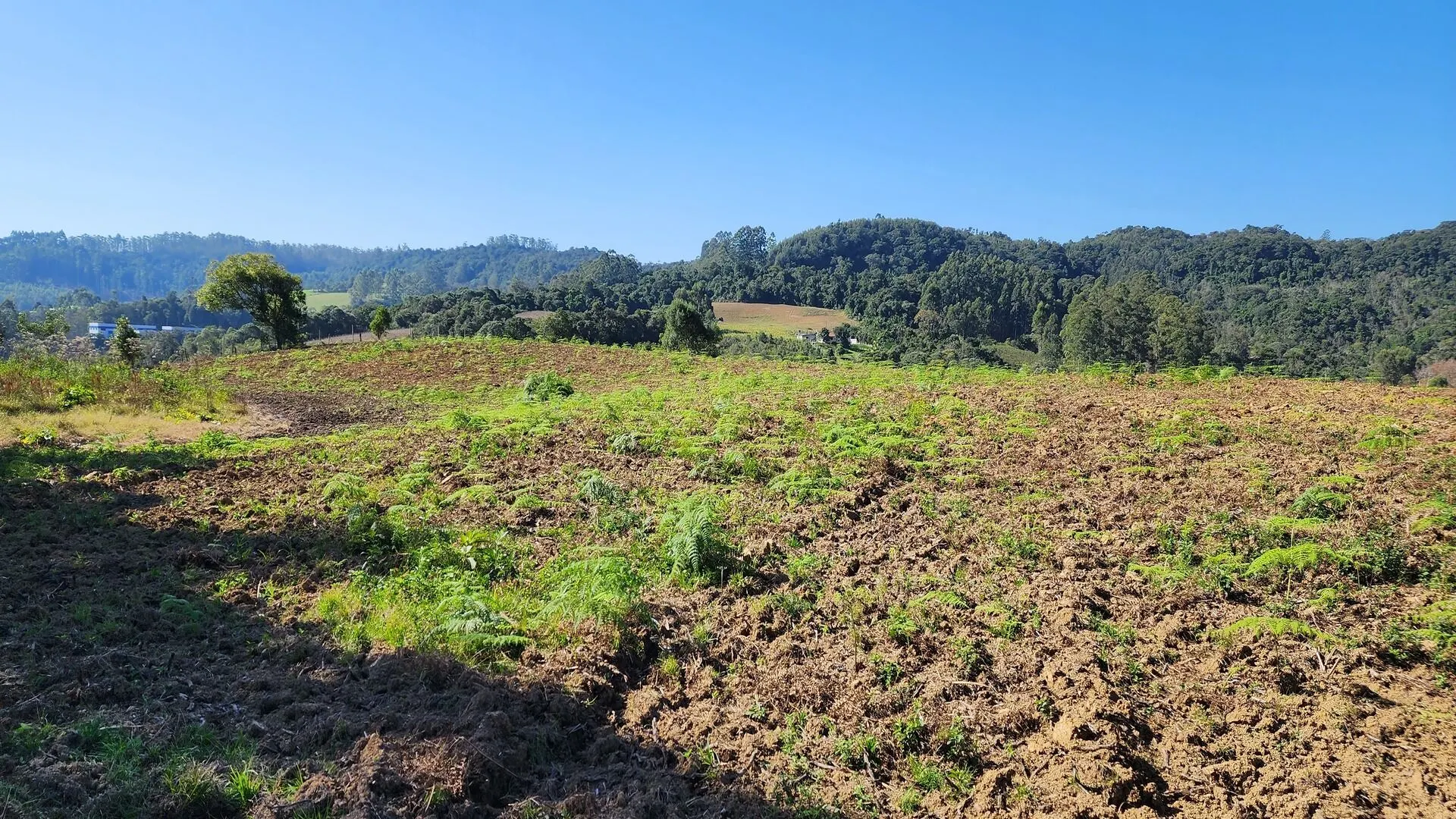 Sítio à venda de 9 ha em Rio do Sul, SC, Brasil