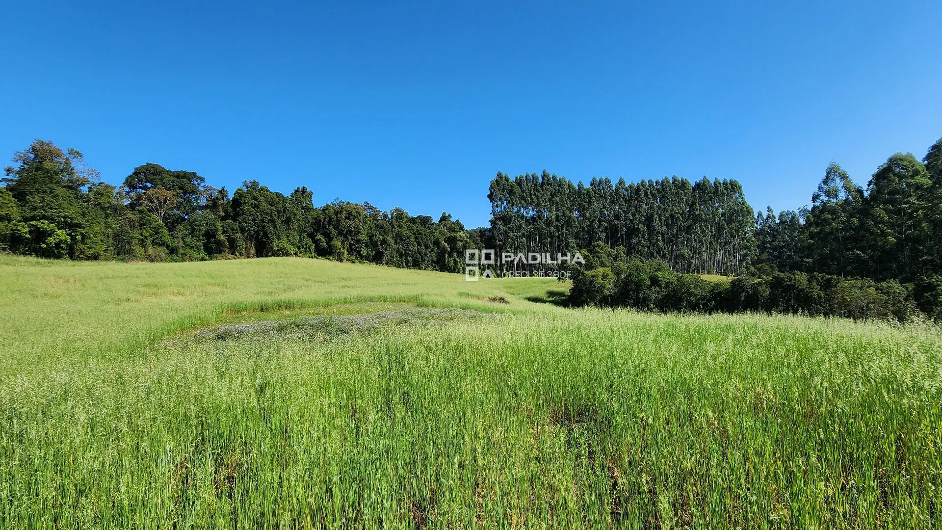 Sítio à venda de 9 ha em Rio do Sul, SC, Brasil