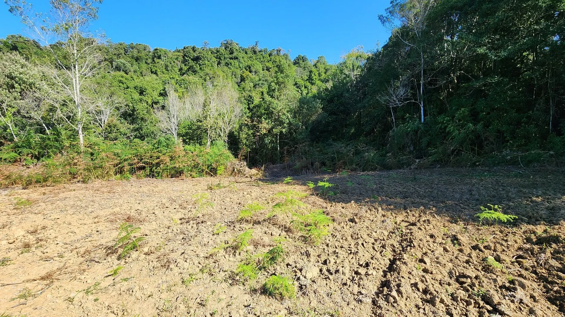 Sítio à venda de 9 ha em Rio do Sul, SC, Brasil