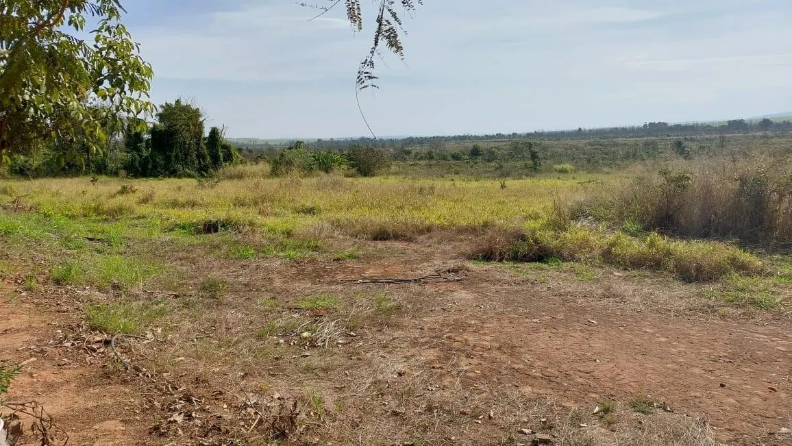 Fazenda à venda de 73 ha em Santa Rosa de Viterbo, SP, Brasil