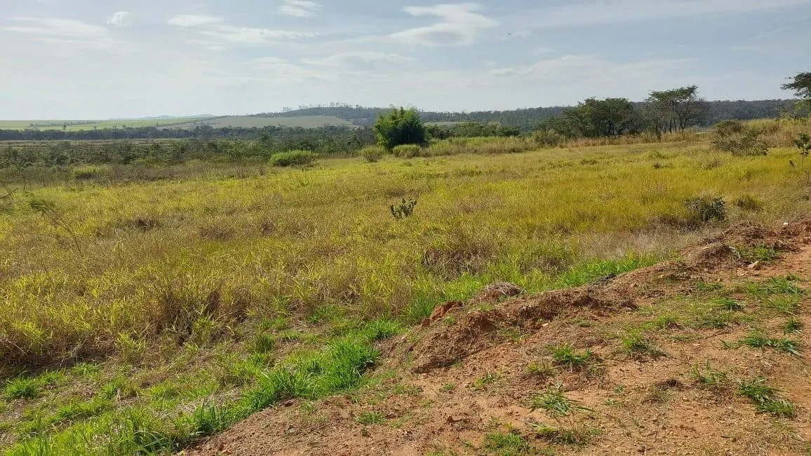 Fazenda à venda de 73 ha em Santa Rosa de Viterbo, SP, Brasil