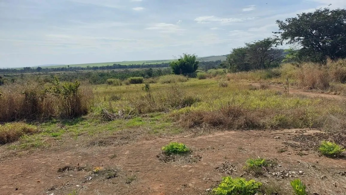 Fazenda à venda de 73 ha em Santa Rosa de Viterbo, SP, Brasil