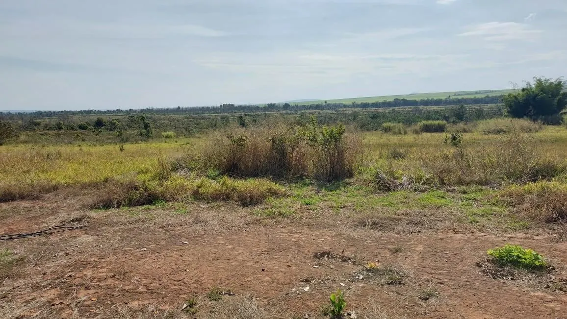 Fazenda à venda de 73 ha em Santa Rosa de Viterbo, SP, Brasil