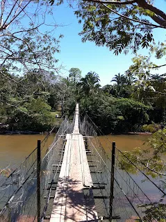 Fazenda à venda de 260 ha em Guiratinga, MT, Brasil