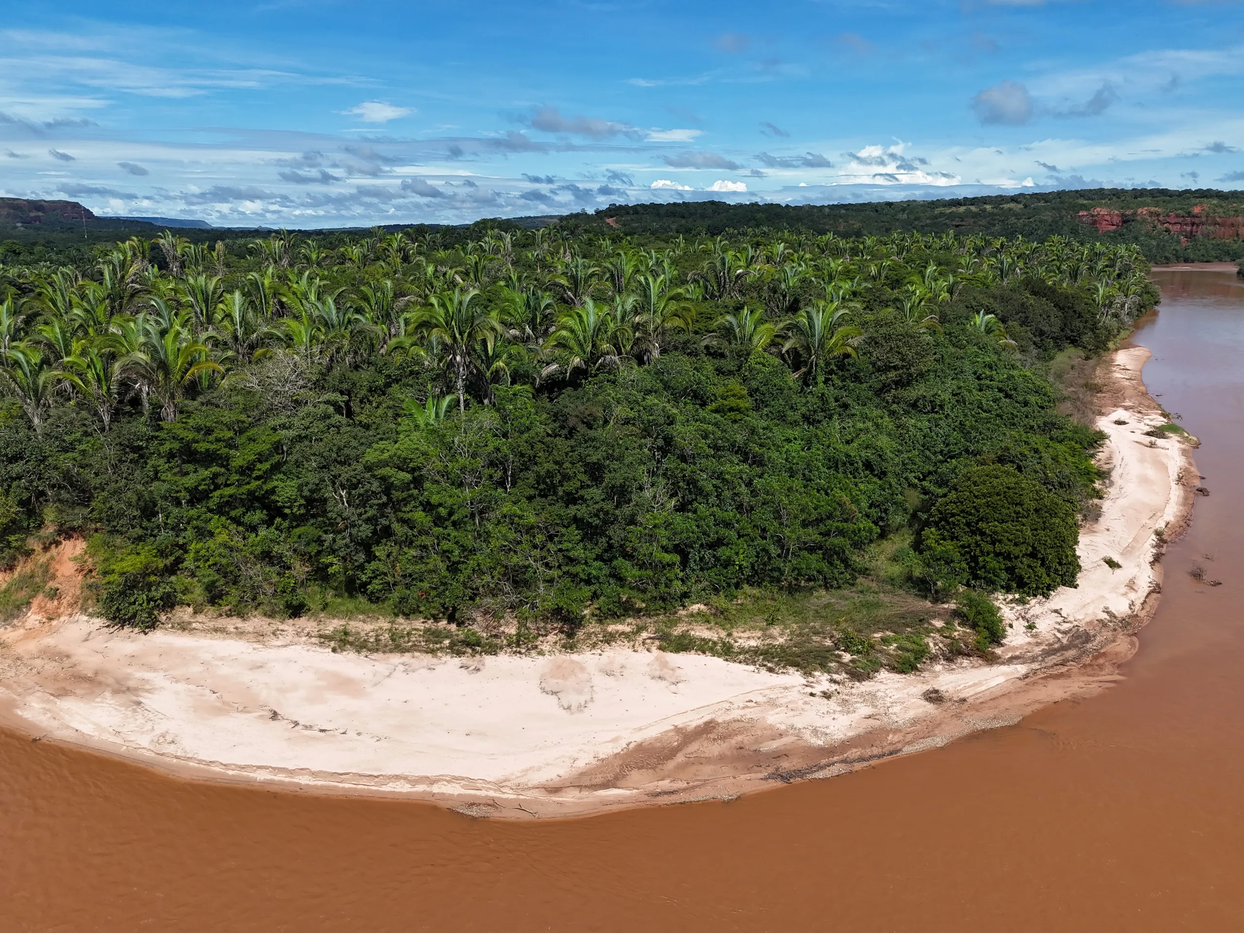 Fazenda à venda de 260 ha em Guiratinga, MT, Brasil