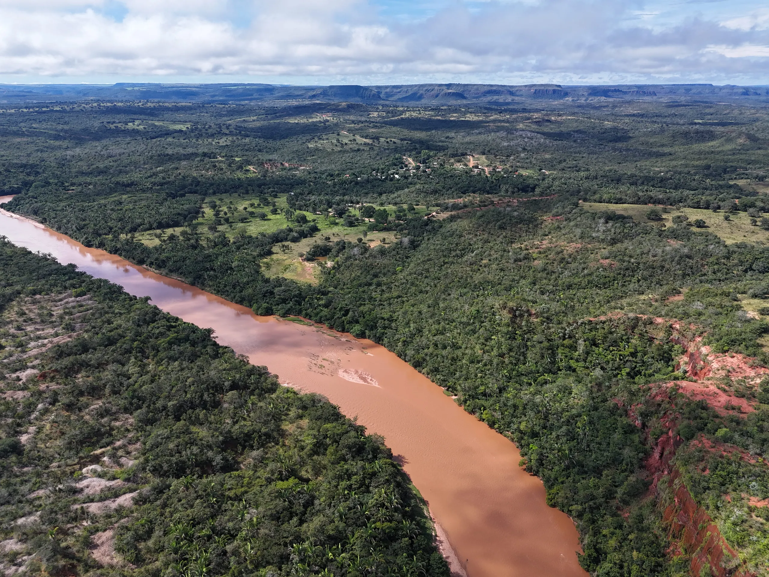 Fazenda à venda de 260 ha em Guiratinga, MT, Brasil
